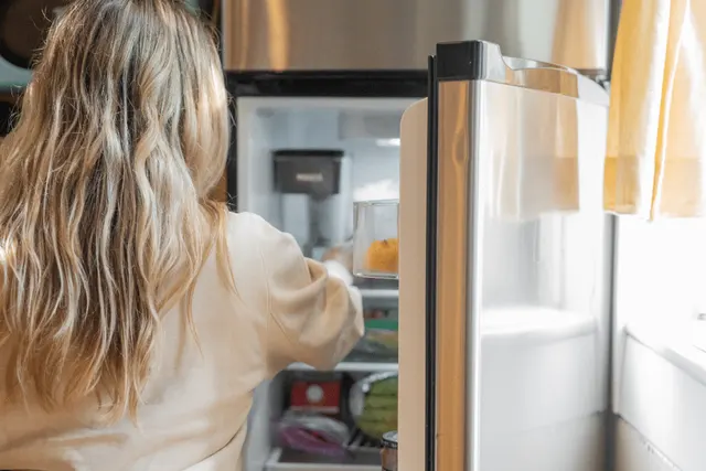 Refrigerator not cooling