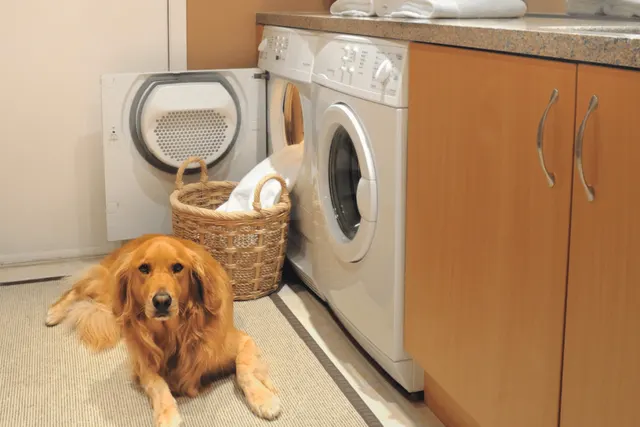 Why my Dryer Takes Too Long to Dry