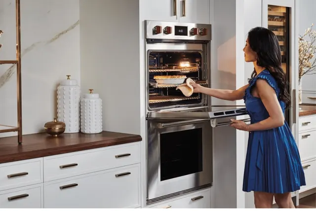 clean a wolf oven