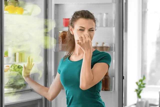 Refrigerator Stinks