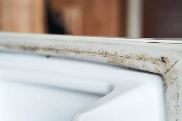 ice maker has dirty ice