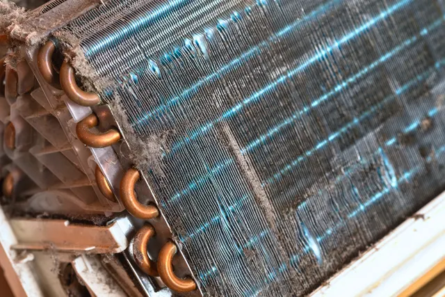 Dust-coated condenser coils that can lead to a refrigerator freezing food